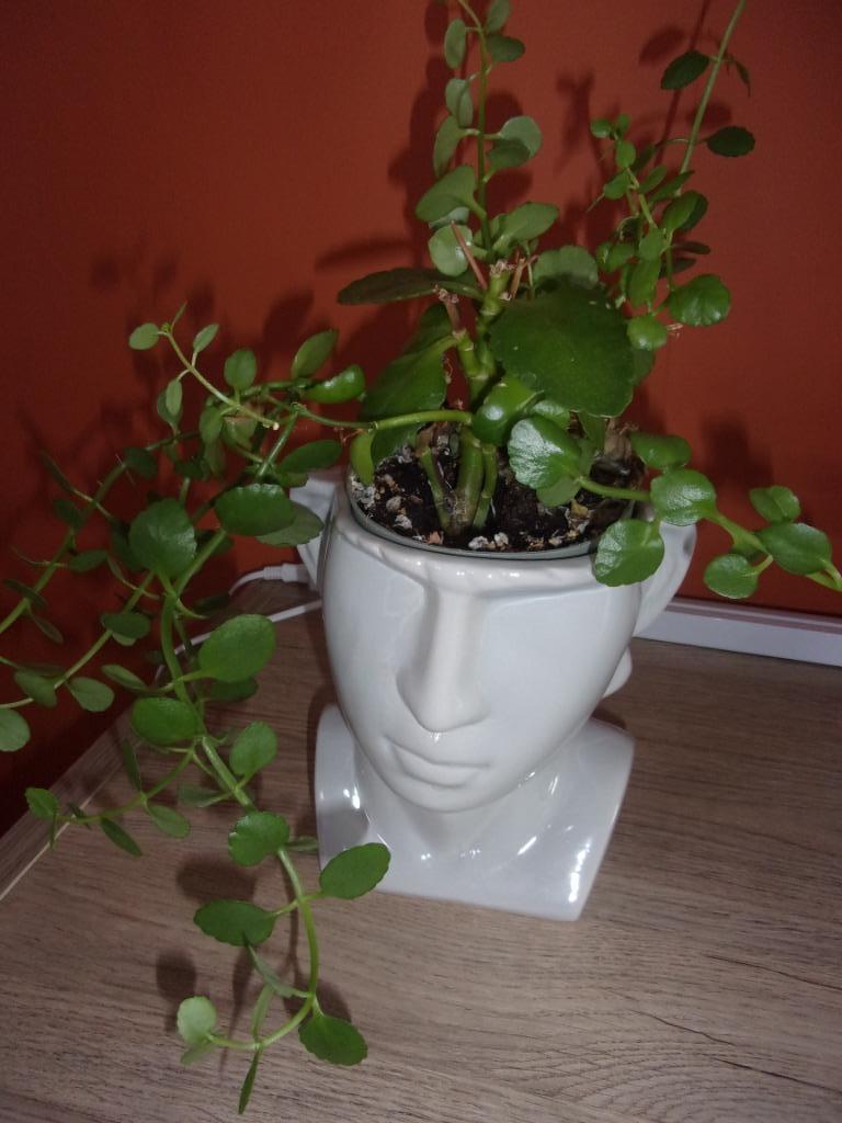 joli cache-pot tête, Enlèvement ou Envoi, Moins de 25 cm, Poterie, Comme neuf