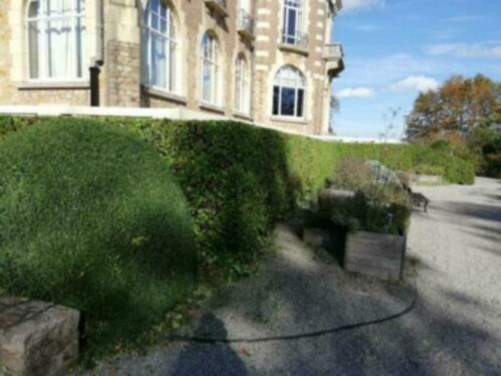 Jardinier professionnel à bas prix, Enlèvement, Arbre à bulbes