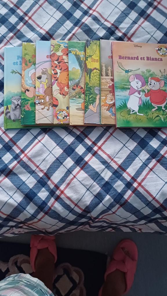 Lot 57 boeken Walt Disney jaren 90 Frans, Verzamelen, Ophalen