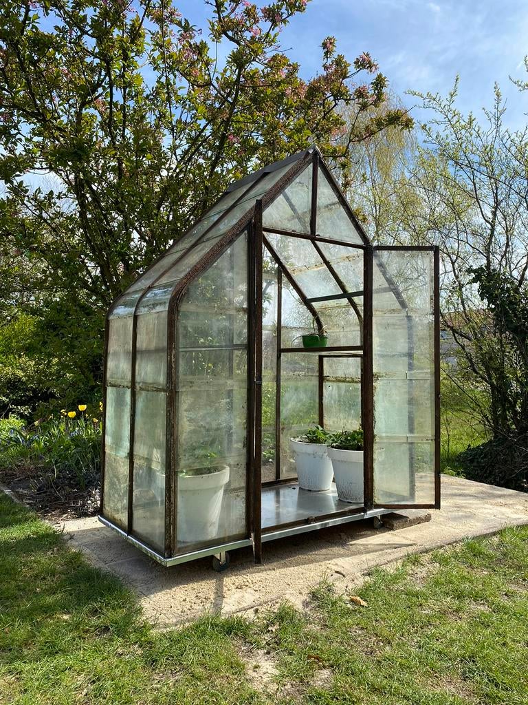 Kas serre druivenkas glaskas 140 x 75 x 175 cm handgemaakt, Serre, Enlèvement ou Envoi, Comme neuf, Verre