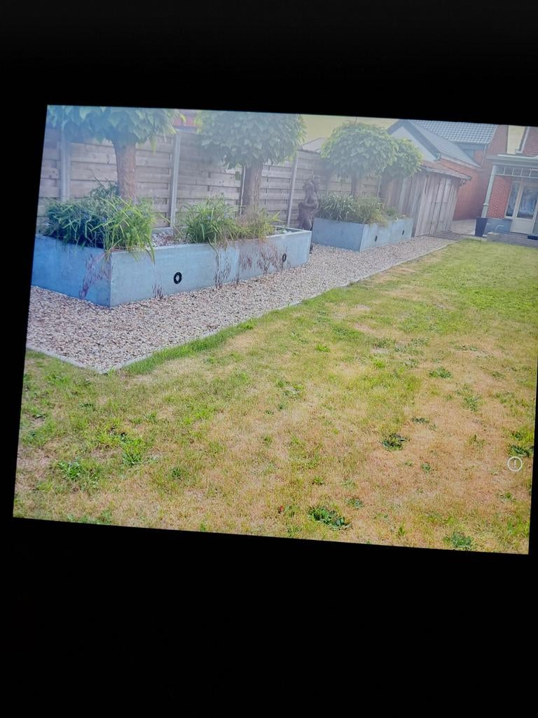 Huisgenote gezocht Arendonk, Contacten en Berichten, Huisgenoten gezocht