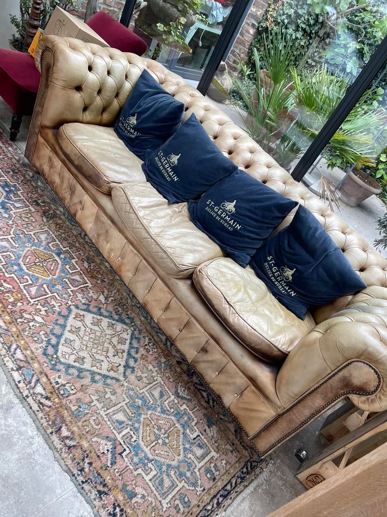 Oude chesterfield, Huis en Inrichting, Zetels | Zetels, Ophalen, 250 tot 300 cm, Gebruikt, Driepersoons