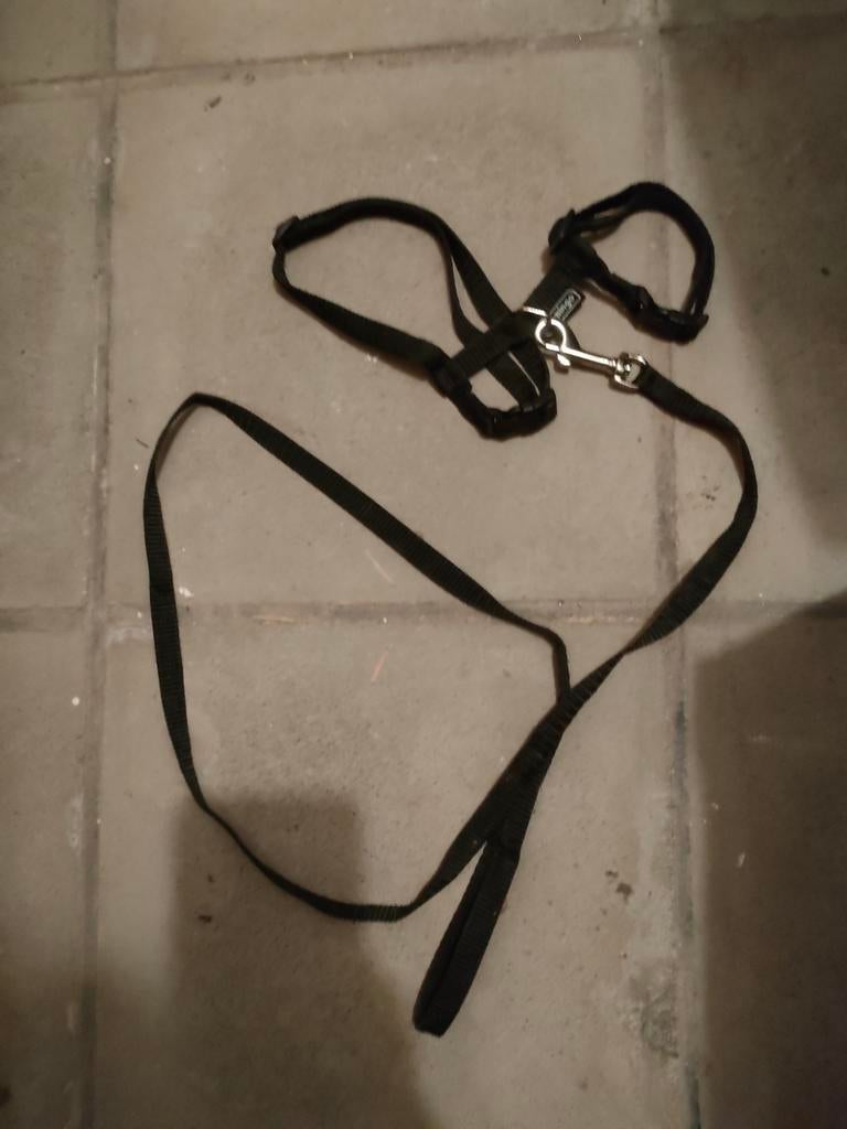 regelbaar kattentuigje met riem, Dieren en Toebehoren, Katten-accessoires, Gebruikt, Ophalen