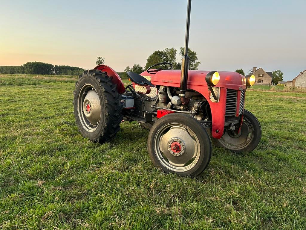 Ferguson TE 20 Diesel avec papiers belges, Enlèvement, Oldtimer/Ancêtre, Massey Ferguson