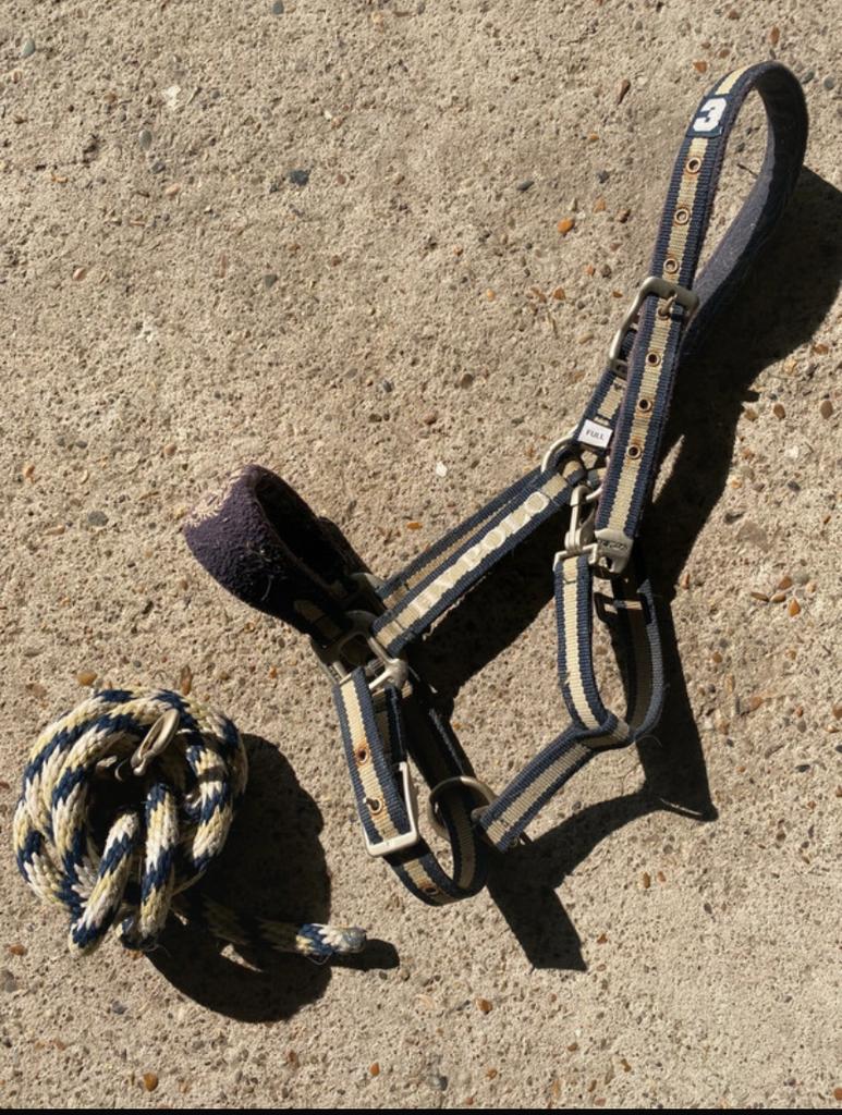 Hoofdstel + Halstertouw Full HV Polo, Ophalen of Verzenden, Gebruikt