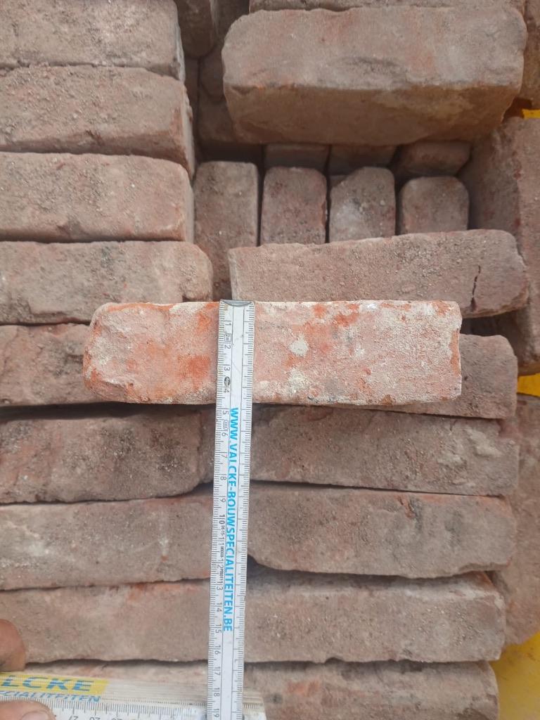 Gevelstenen Beerse klinker MOD 50, Enlèvement, Neuf, Briques