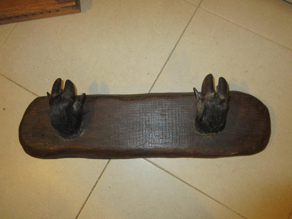 porte-manteau de chasse taxidermie pattes d'animaux 63 cm, Enlèvement