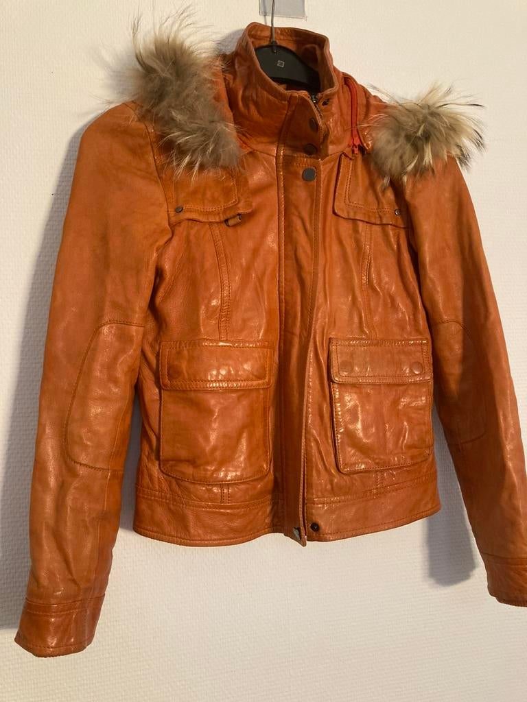 Jas Oakwood, Kleding | Dames, Ophalen of Verzenden, Zo goed als nieuw