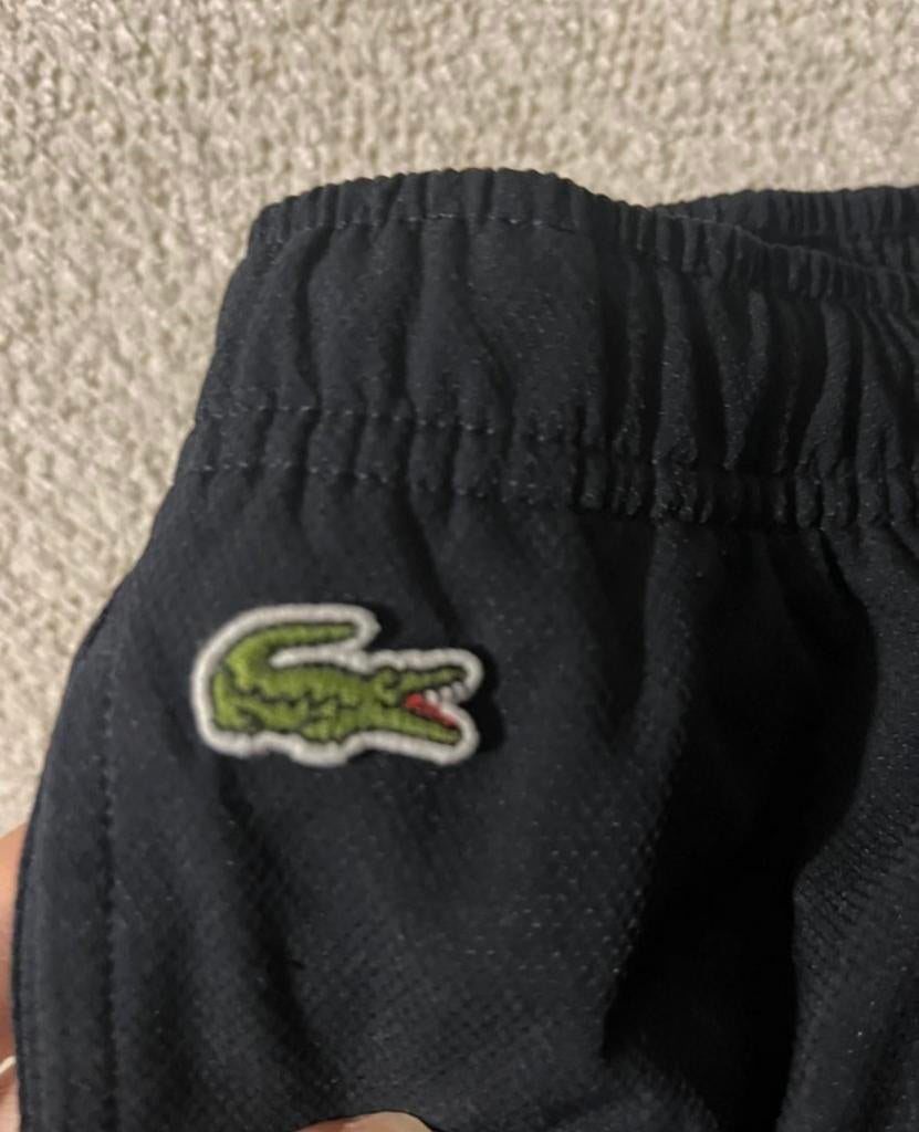 pantalon training lacoste, Ophalen of Verzenden, Zo goed als nieuw