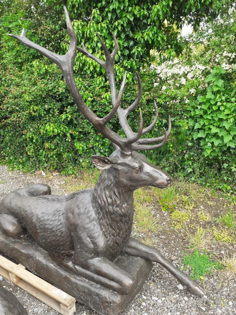SUPERBE CERF COUCHE EN BRONZE (grandeur nature ), Enlèvement, Utilisé, Autres matériaux, Animal