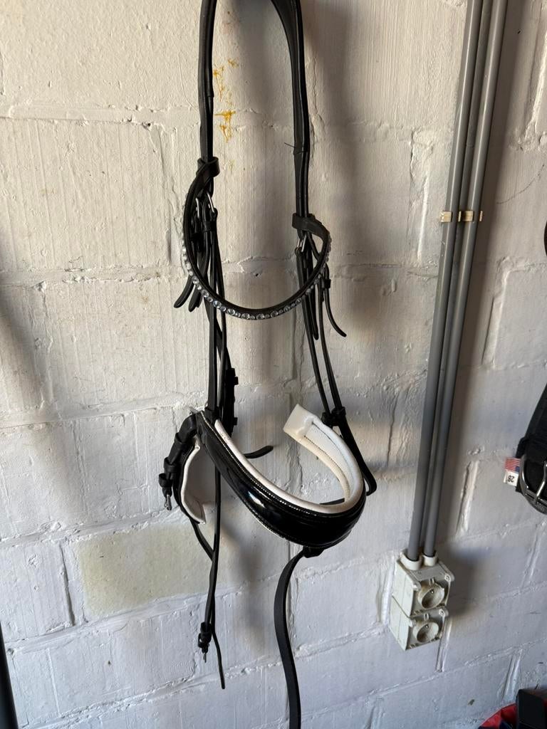 Hoofdstel, Dieren en Toebehoren, Ophalen, Zo goed als nieuw