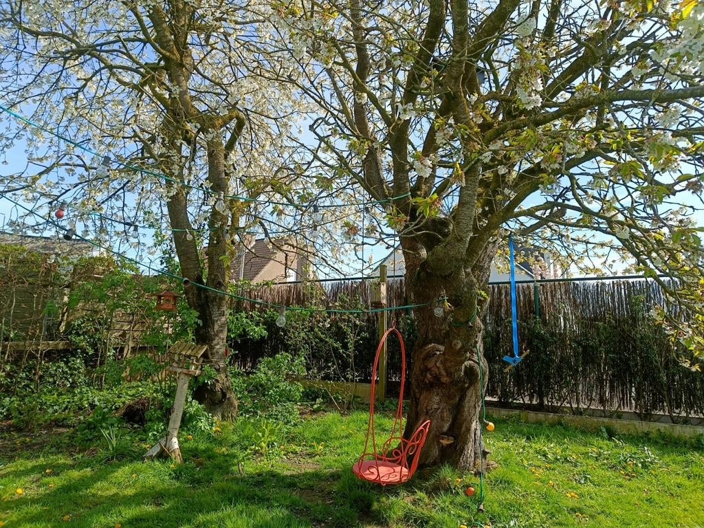 Prikkabel met gekleurde en witte lampen