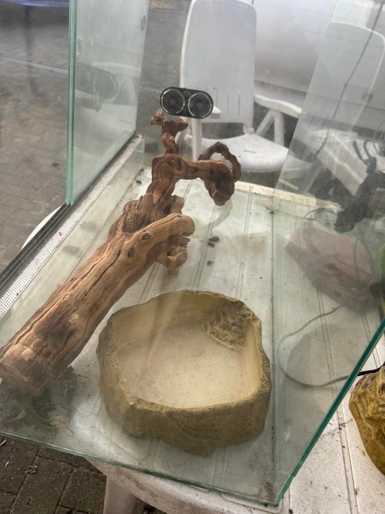 Terrarium reptielen