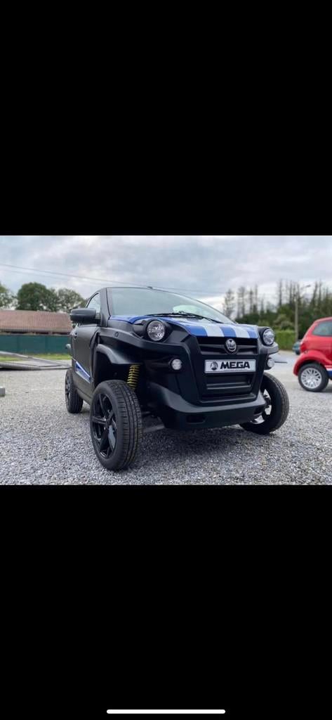 Aixam Other E-SCOUTY (automatique), Autos, Neuf, Achat, Entreprise, Carnet d'entretien