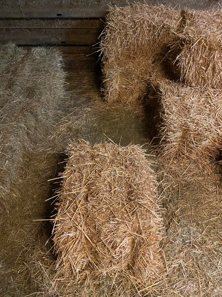 Kleine balen stro, Zakelijke goederen, Landbouw | Veevoer, Ophalen