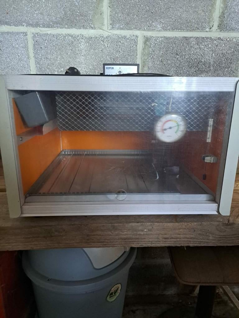 Couveuse, Animaux & Accessoires, Volatiles | Accessoires, Enlèvement, Comme neuf, Couveuse