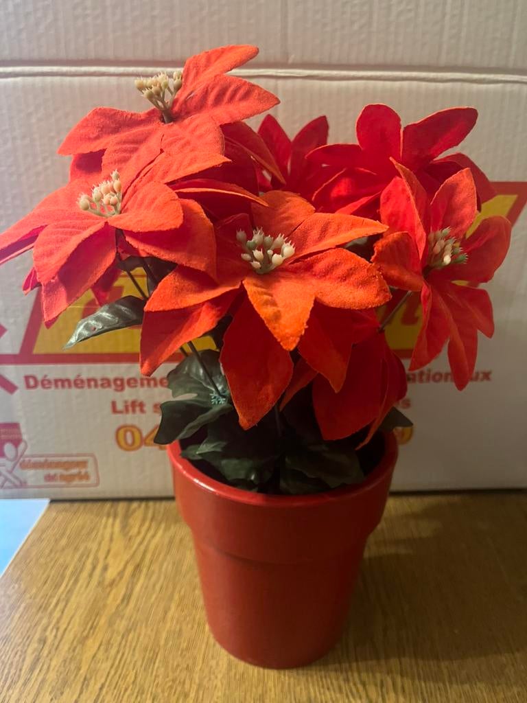 Kunstplanten, zo goed als nieuw, Kunstplant, Ophalen of Verzenden, Zo goed als nieuw, Overige merken