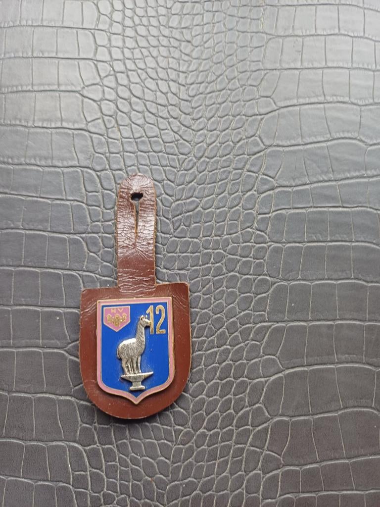 Cintre de poitrine militaire, Enlèvement ou Envoi