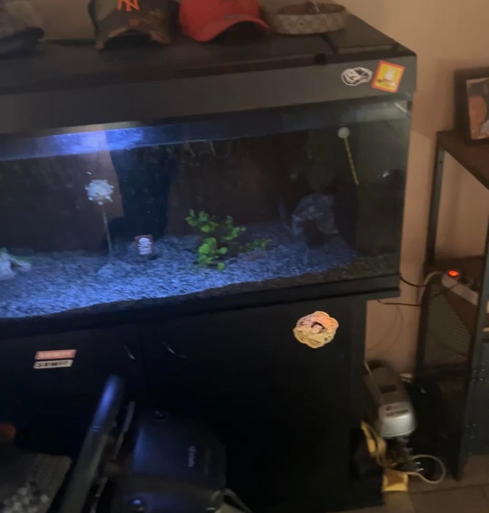 Aqaurium 250L alles erbij, gereinigd+startklaar, Animaux & Accessoires, Enlèvement, Utilisé, Aquarium vide
