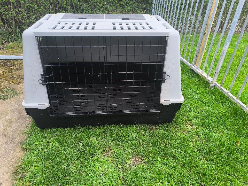 Cage de repos ou de transport pour chien, Animaux & Accessoires, Boîtes de transport, Enlèvement, Utilisé