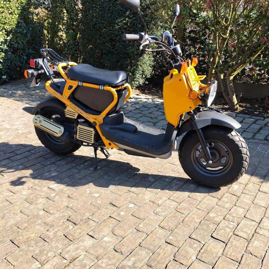 Scooter Honda Zoomer 49cc, Vélos & Vélomoteurs, Scooters | Marques Autre, Enlèvement