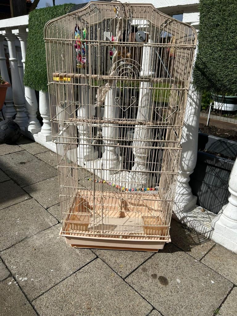 Mooie grote vogelkooi, Enlèvement, Cage à oiseaux