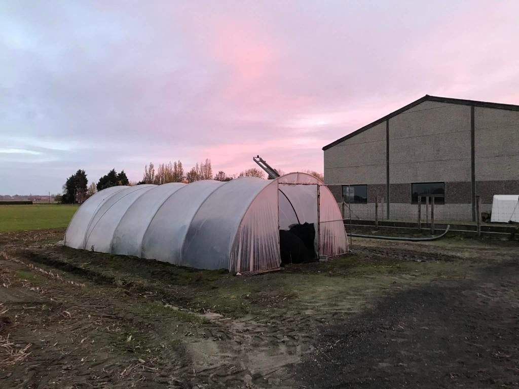 serre, Enlèvement, Utilisé