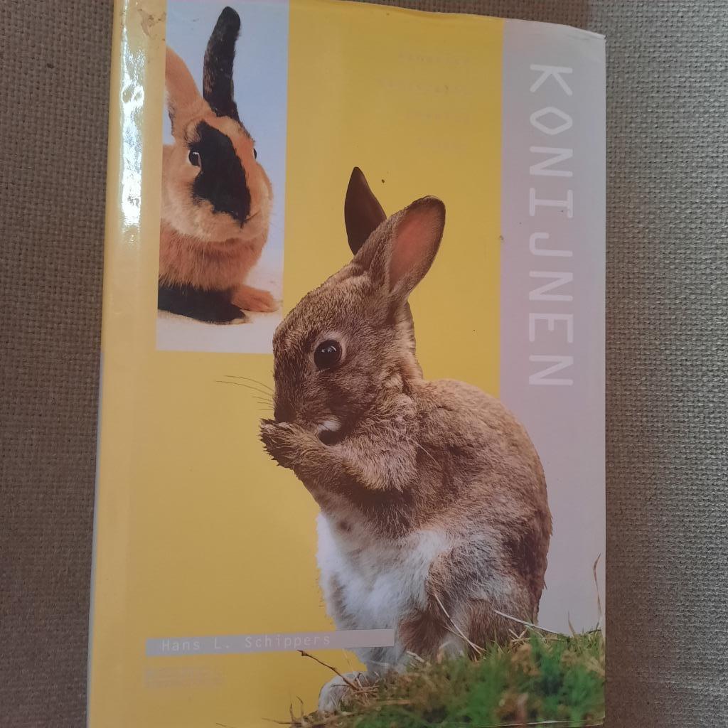 KONIJNEN - HANS K. SCHIPPERS , Ophalen of Verzenden, Konijnen of Knaagdieren