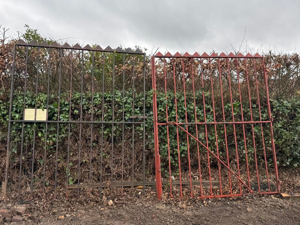 Hekken/poort 350 x 210h, Tuin en Terras, Tuinhekken en Hekwerk, Gebruikt, Ophalen