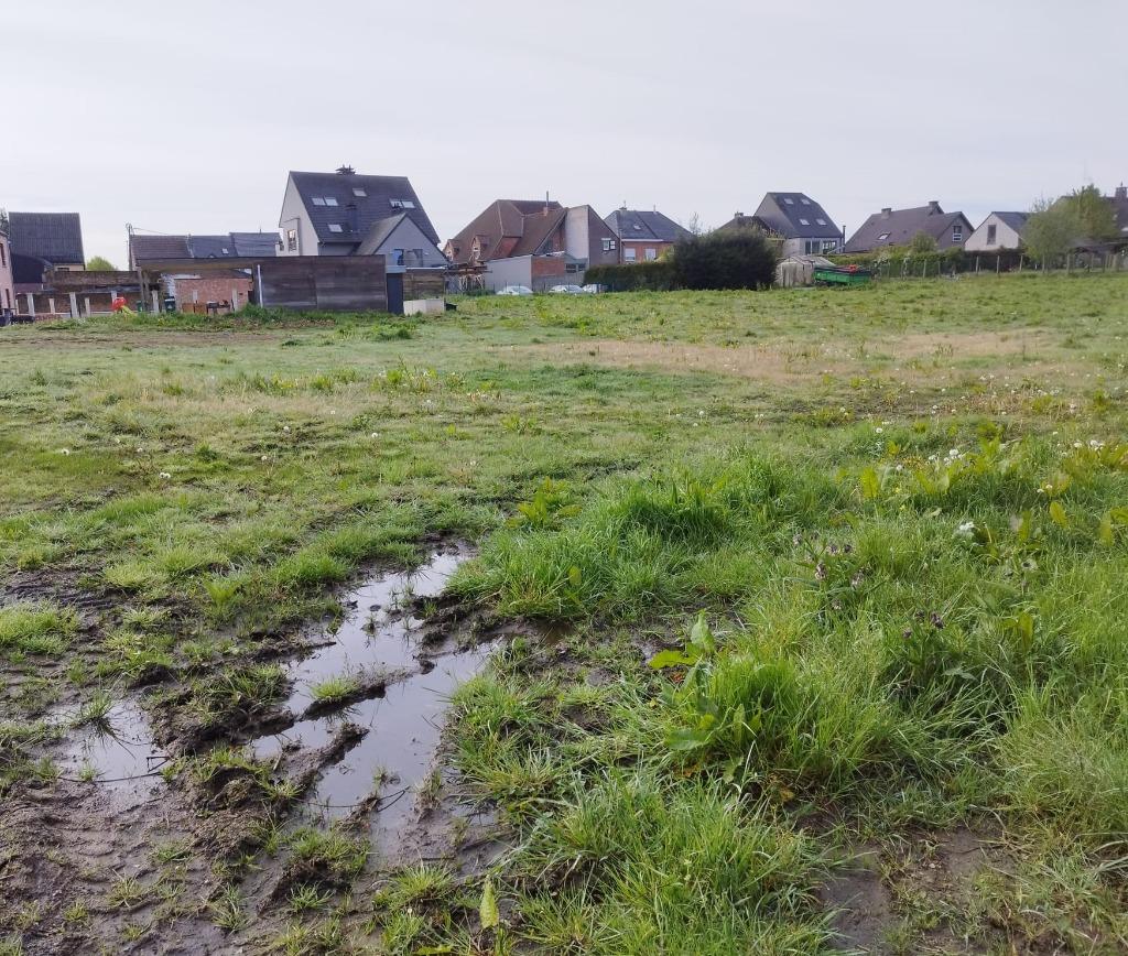 Weide te huur in 9473 - Welle => 43 are - 4300 m², Weidegang, 1 paard of pony