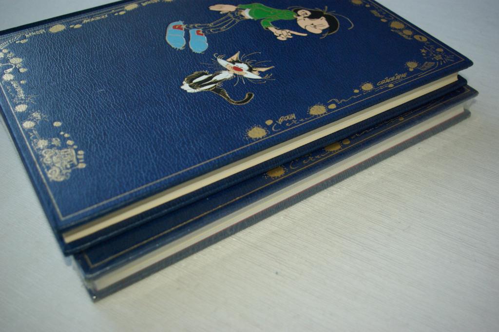 Lot de 2 intégrales Gaston BD DUPUIS Franquin ROMBALDI, Boeken, Stripverhalen, Zo goed als nieuw, Meerdere stripboeken, Ophalen of Verzenden