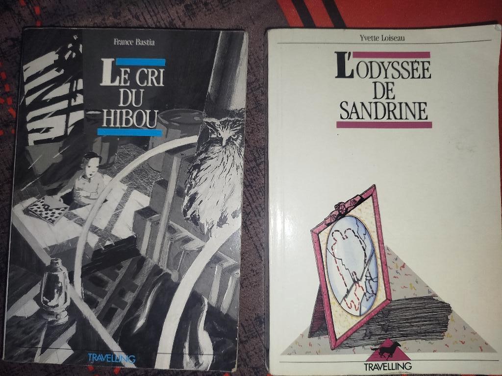 Livre scolaire, Ophalen of Verzenden, Zo goed als nieuw, Fries