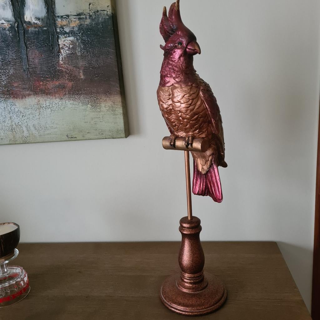 Papegaai op standaard 52cm hoog, Ophalen