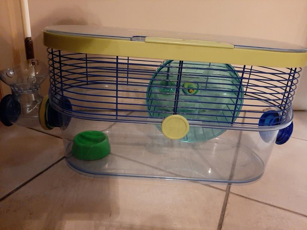 Hamsterkooi, Enlèvement ou Envoi