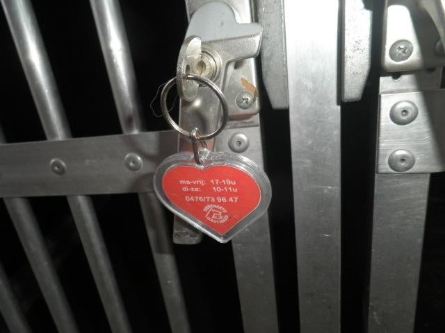 Hondenkooi Auto voor 2Honden  Alles goed lezen Aub, Ophalen, Minder dan 65 cm, Hondenhok, Zo goed als nieuw