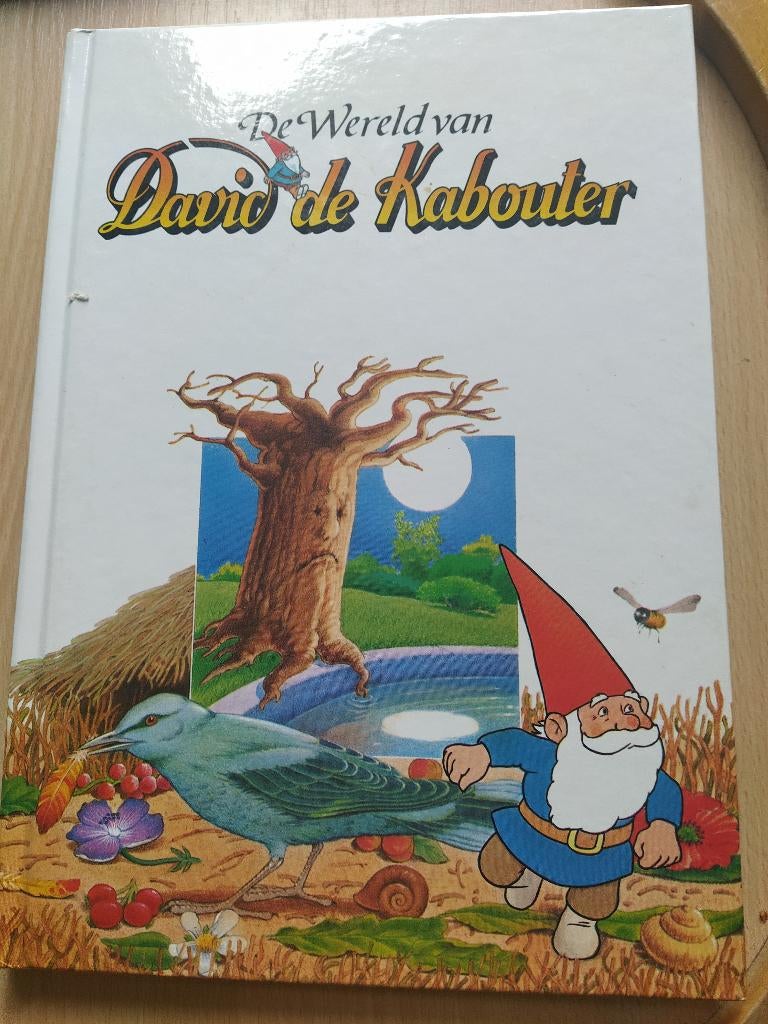 boek: David de Kabouter + Kabouter Korsakov, Ophalen of Verzenden, Gelezen, Fictie algemeen