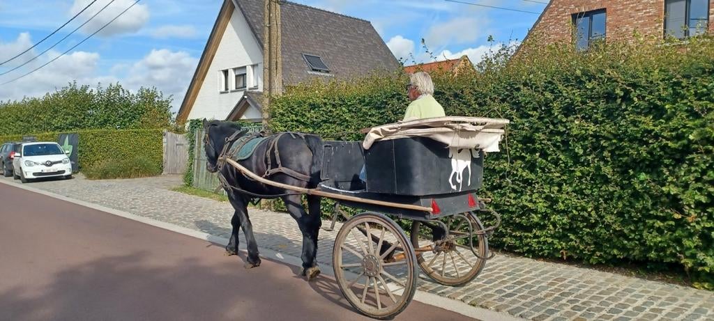 Koets met getuig, Ophalen