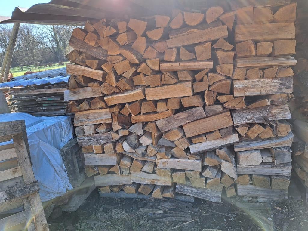 Eiken brandhout laatste kuubs droog of halfdroog, Ophalen of Verzenden