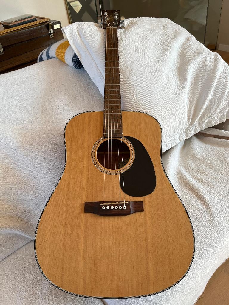 Guitare Acoustique, Enlèvement, Utilisé, Guitare Western ou Guitare Folk, Avec valise