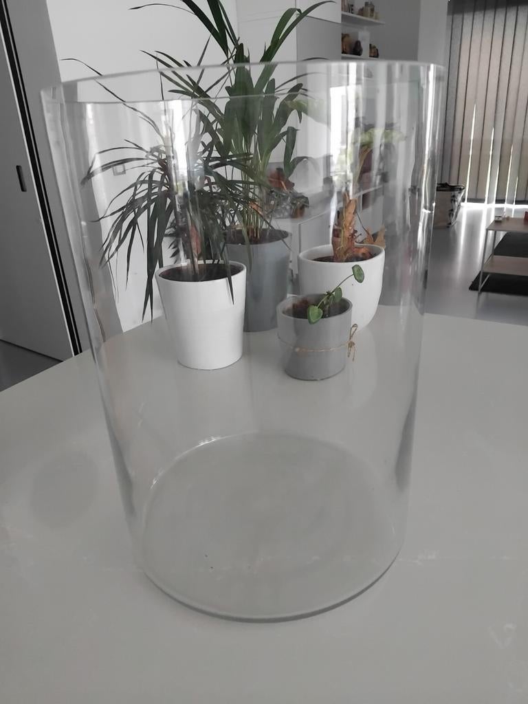 Grote glazen vaas / bokaal, Enlèvement