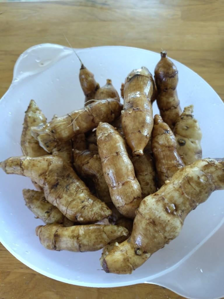 Allerlei planten, Jardin & Terrasse, Plantes | Jardin, Enlèvement