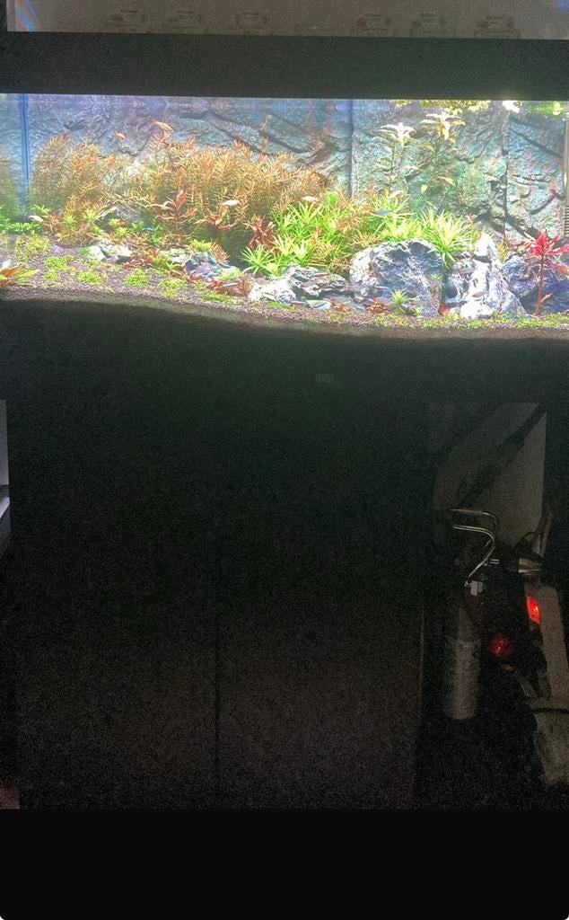 Juwel Rio 180, Enlèvement, Comme neuf, Filter, Juwel