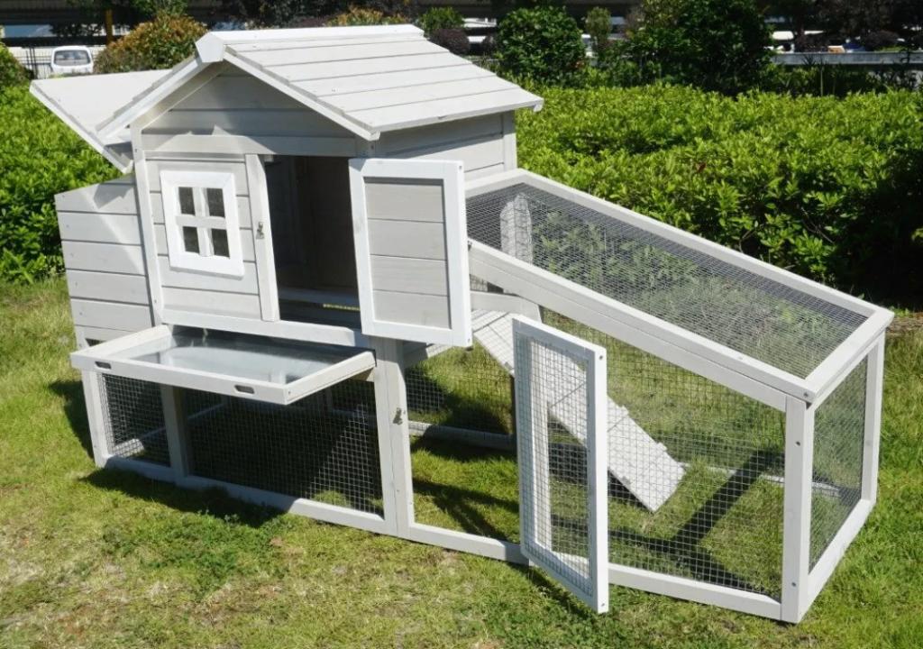 Kippenhok met ren Araucana