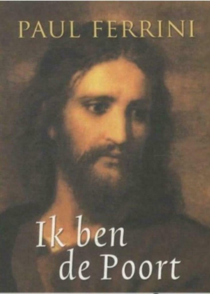 Ik ben de poort, Paul Ferrini, Boeken, Esoterie en Spiritualiteit, Ophalen of Verzenden, Zo goed als nieuw