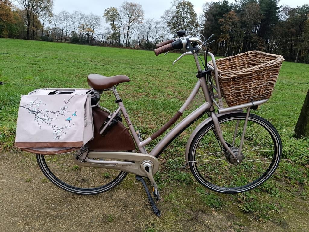 Sparta elektrische omafiets, Fietsen en Brommers, Ophalen