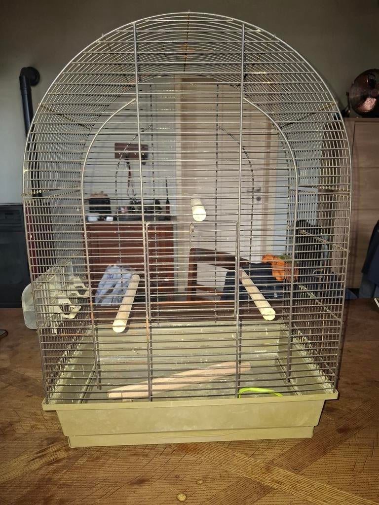 Vogelkooi, Enlèvement, Cage à oiseaux