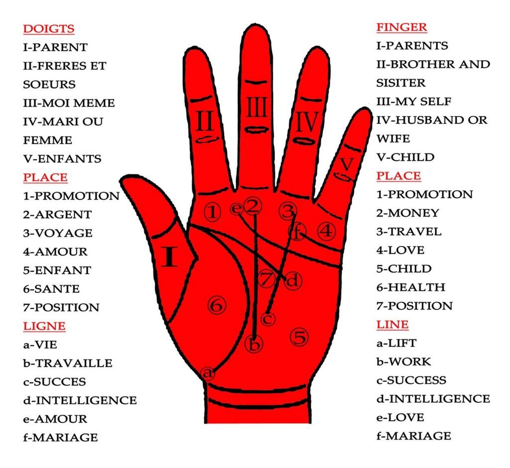 Voyance chinois, Services & Professionnels