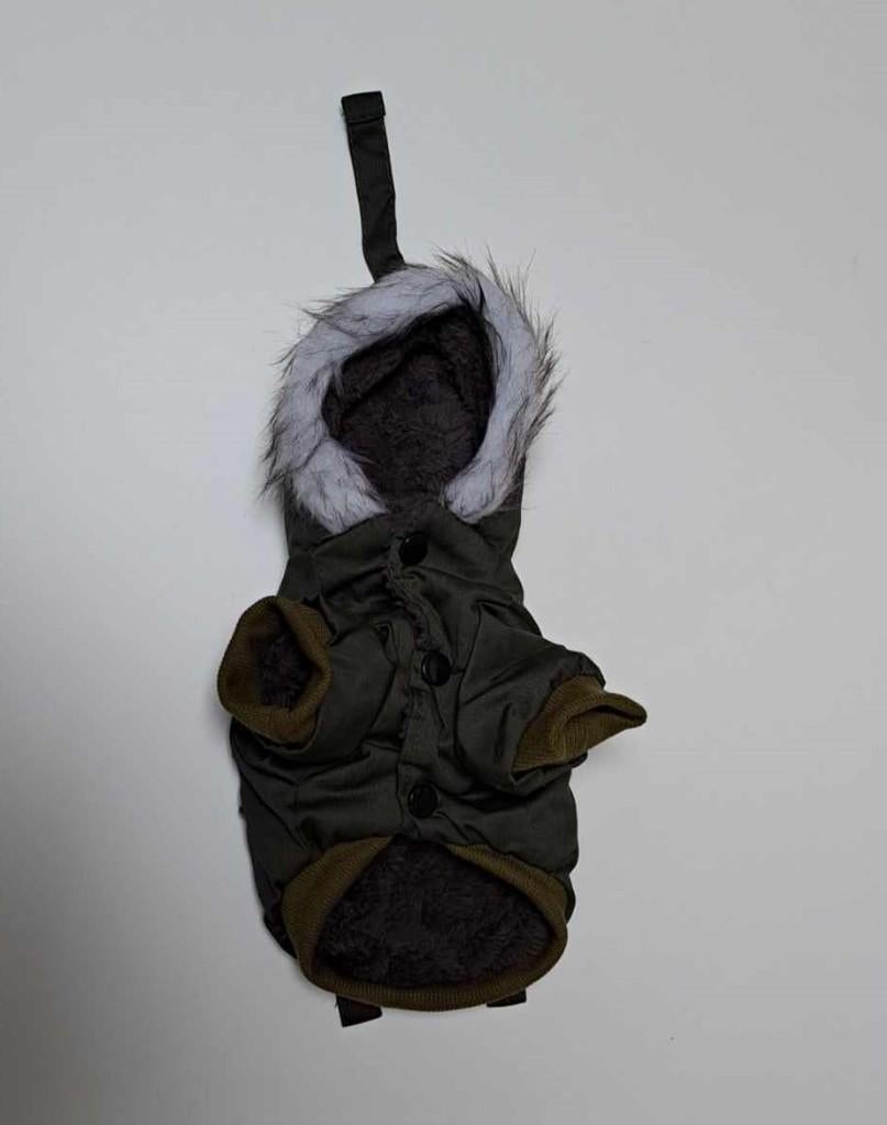 Manteau - Anorak - pour Petit Chien - Chihuahua, Envoi, Neuf, Manteau pour chien