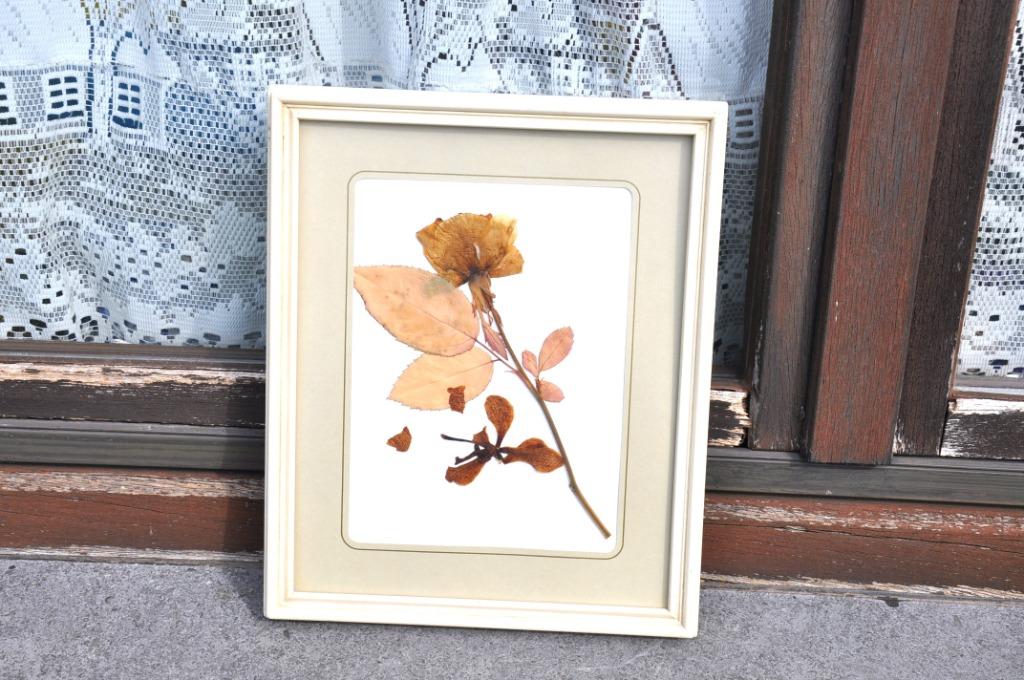 cadre herbier rose, Enlèvement ou Envoi, Utilisé