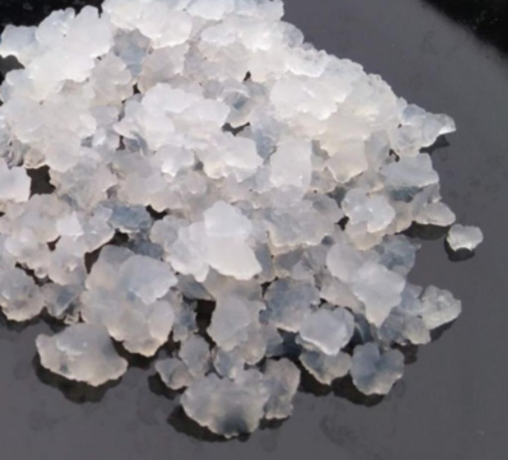 Waterkefirkorrels, Diversen, Levensmiddelen, Ophalen